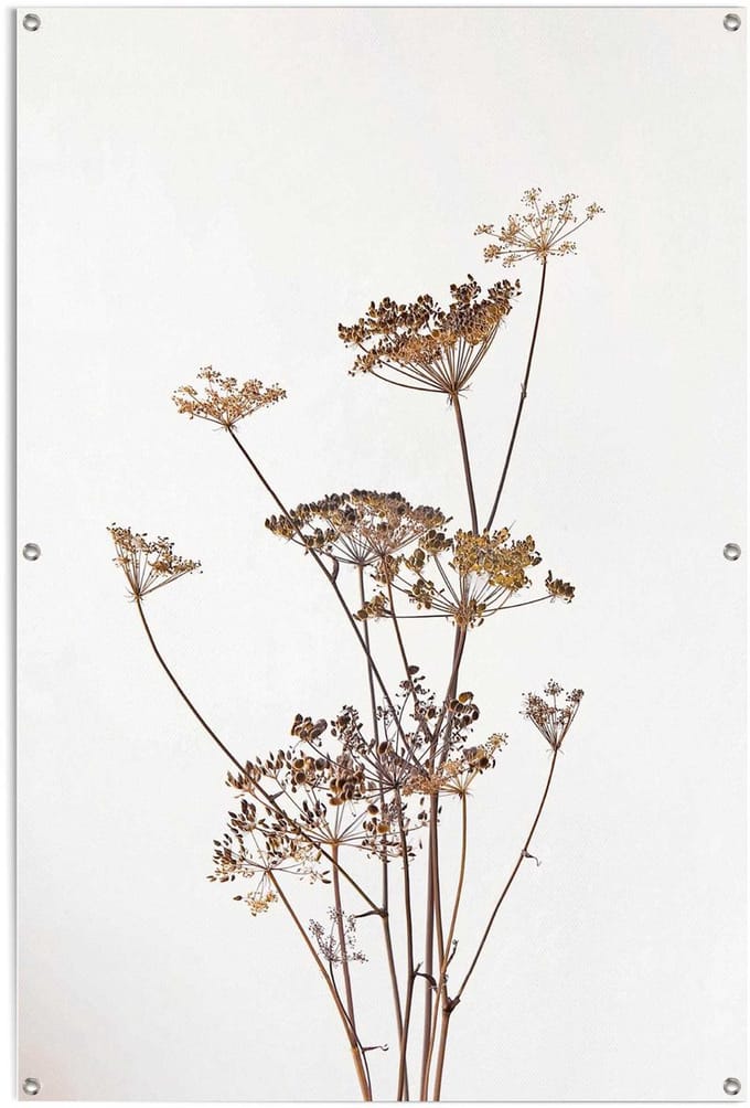 Tuinposter Berenklauw - 120 x 80 - Canvas - REINDERS