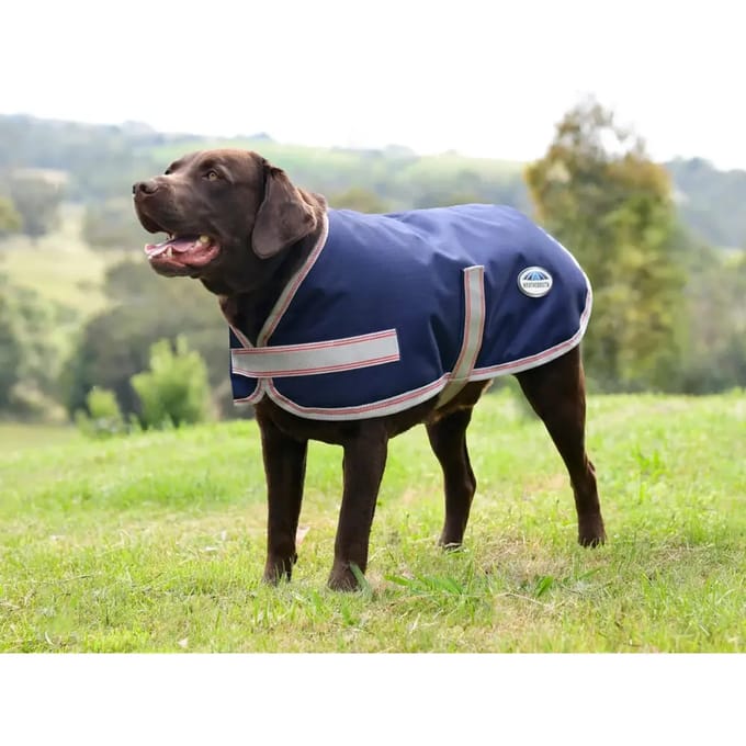 Hondenjas Weatherbeeta Comfitec Essential