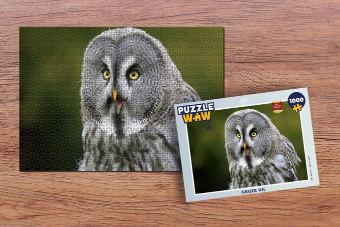 Puzzel Vogel - Uil - Grijs - Legpuzzel - Puzzel 1000 stukjes volwassenen