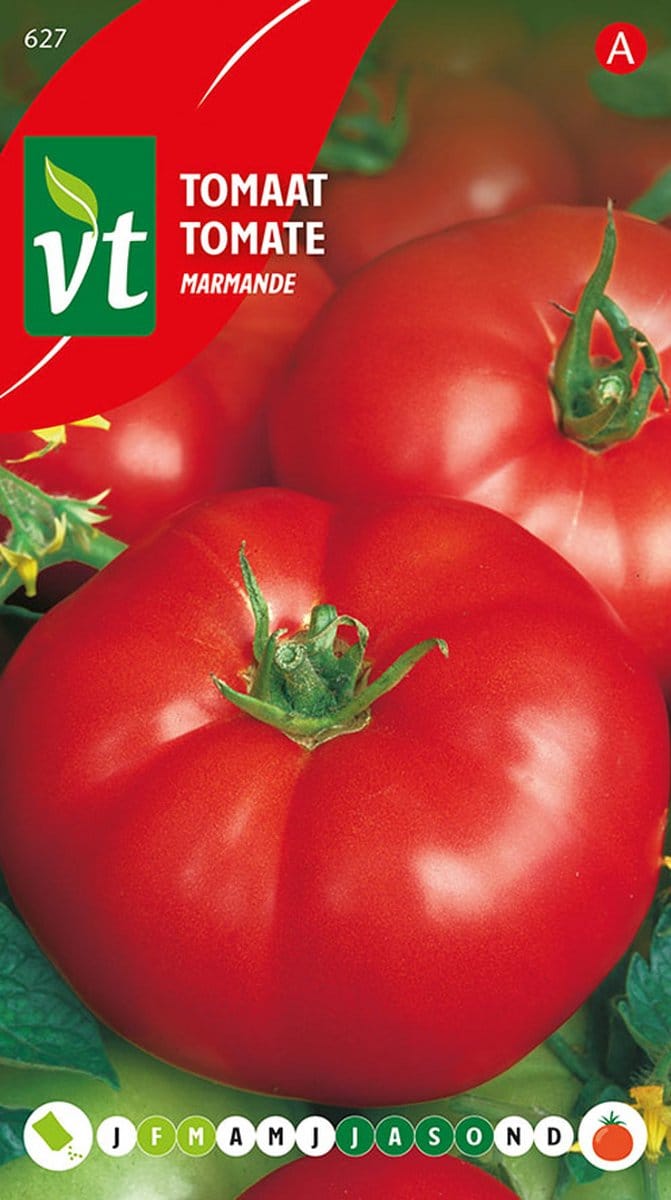 Tomaat Marmande - Grote en Smaakvolle Vleestomaat