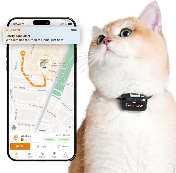 GPS-tracker voor katten - realtime tracking, activiteitsbewaking en locatiegeschiedenis