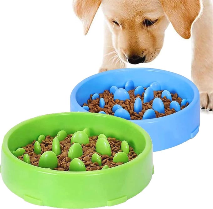 Anti-scratch Slow Feeder Dog Bowl Set, Non-slip Base for Healthy Eating