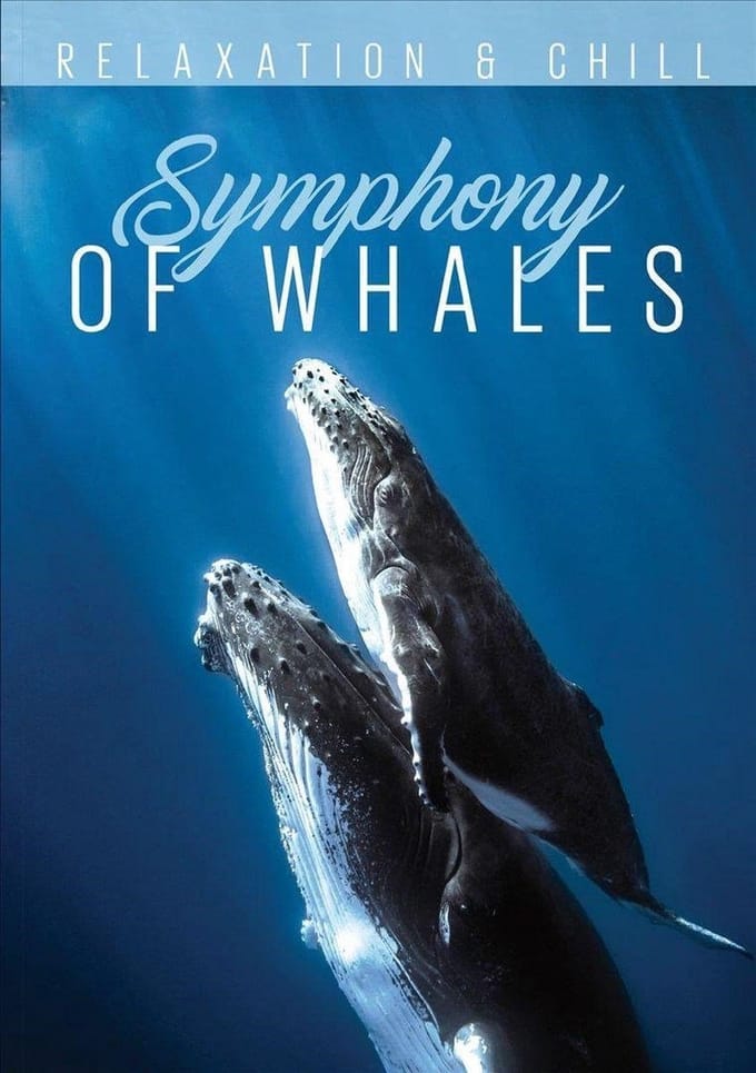 Various Artists - Relax Series - Symphony Of Whales (DVD)
