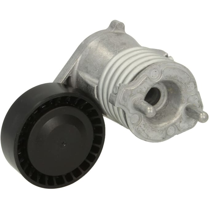 Riemspanner, Poly V-riem DAYCO APV3019