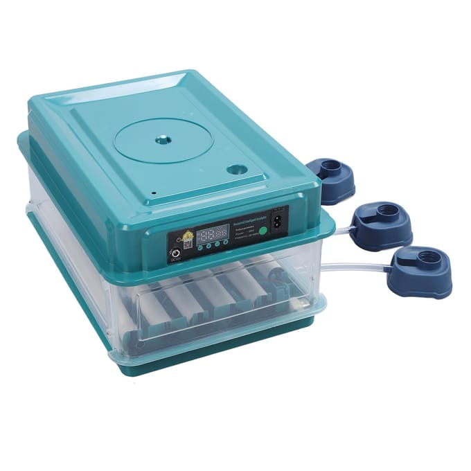 Eierbroedmachine Controller LED Licht Automatische Keerfunctie Broedmachine Vochtigheidsregelaar Groene EU-stekker blue
