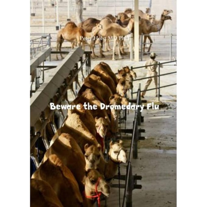 Beware The Dromedary Flu - Peter Holst MD PhD