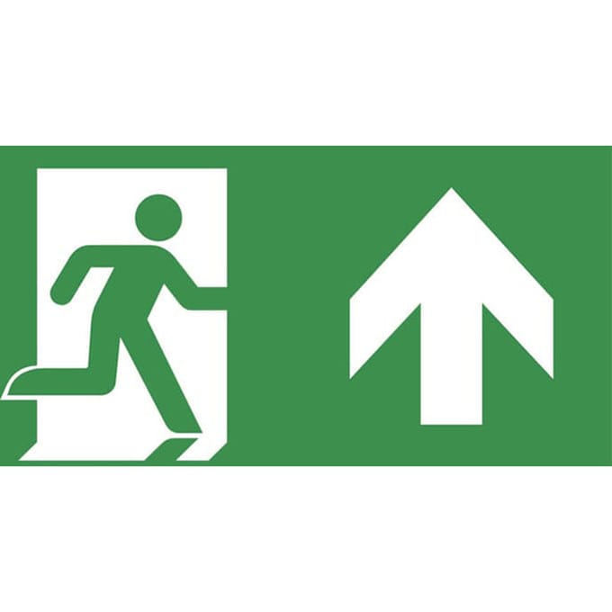 Van Lien TS Pictogram Noodverlichting - 7TCA091350R0801