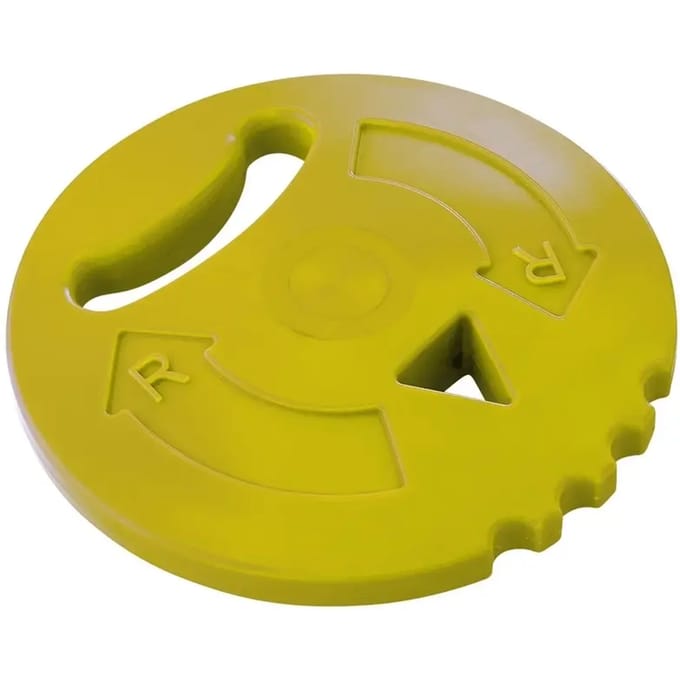 Werpschijfinwijding Tremblay 600 g