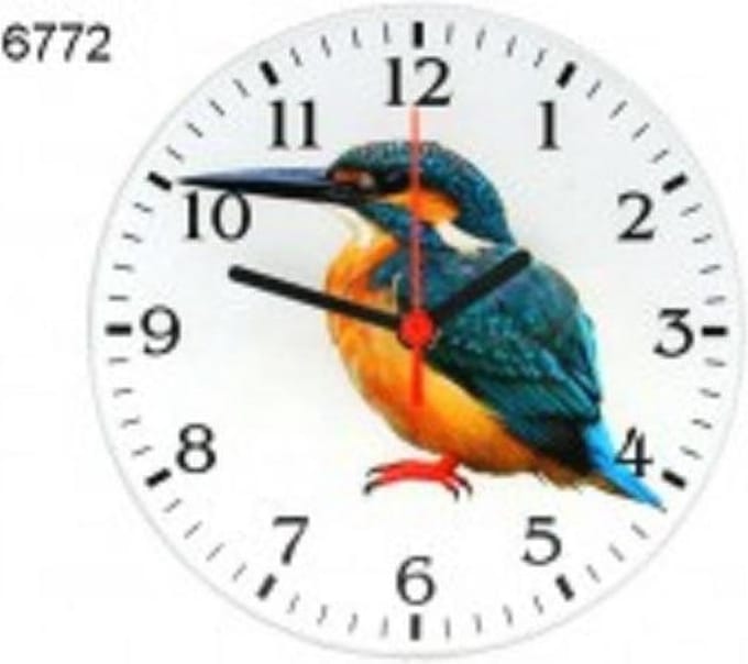 Klok IJsvogel