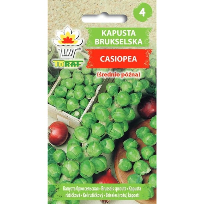 CASIOPEA Brusselse Koolzaadjes 1G Toraf 89