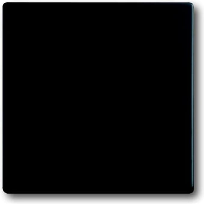 ABB Busch-Jaeger toekomstig Bedieningselement/Centrale Plaat Schakelmateriaal - 2CKA001751A3041 - E2QA4