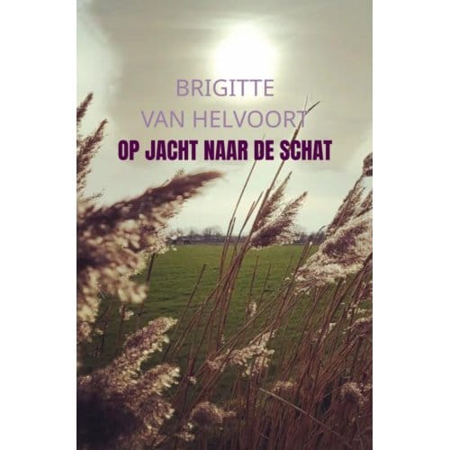 Op Jacht Naar De Schat - Brigitte van Helvoort