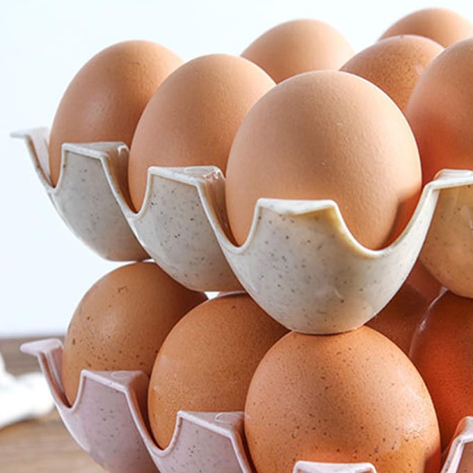 Eierdoos Vershouding Multifunctioneel 3 Rijen Ruimtebesparende Eieropbergcontainer voor Keuken white