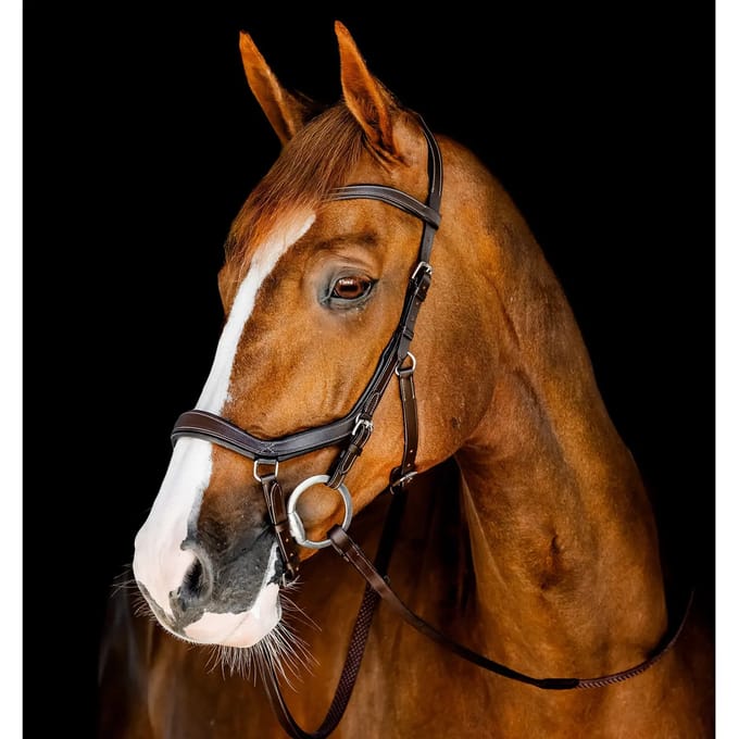 Hoofdstel Horseware Micklem