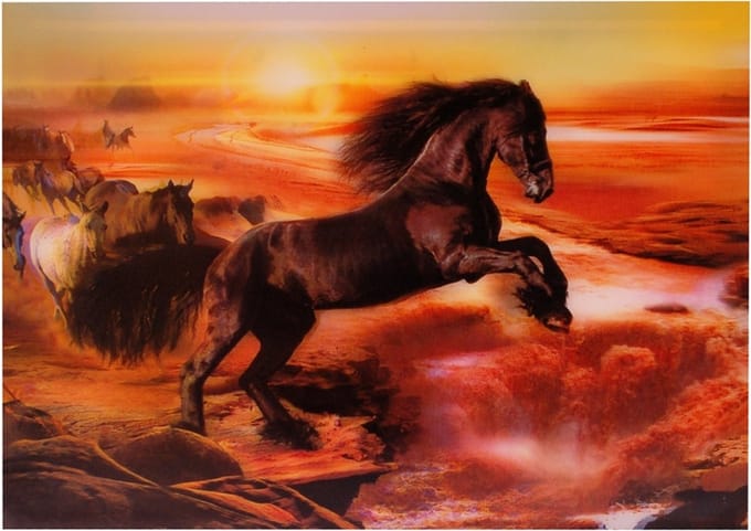 S.Y.W Poster - Paard - 34.5 X 24.5 Cm - Zwart