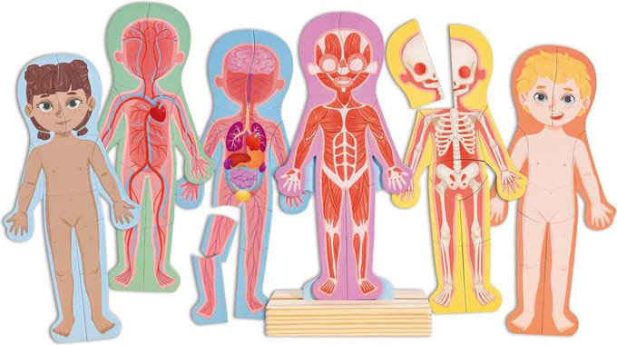 Hape Magnetisch Puzzel Menselijk Lichaam – 69-delig educatief puzzelset voor kinderen van 3-6 jaar