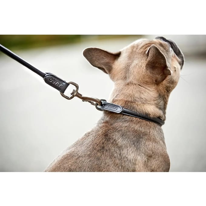 Leren hondenriem met ronde stiksels Catago
