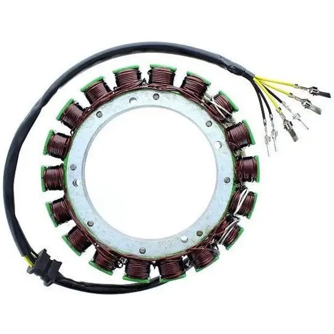 Aanpasbare dynamo Electrosport Kawasaki