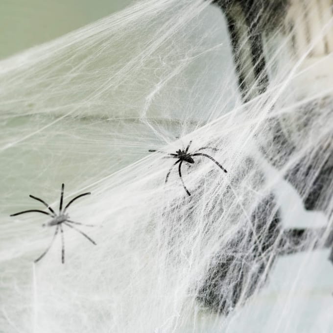 Springos Halloween Decoratie - Spinnenweb - 1.9 M