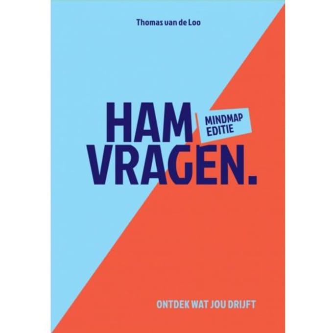Hamvragen - Thomas Van de Loo