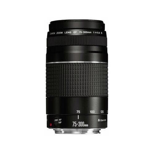 Canon EF DC 4,0-5,6/75-300 III 6473A015 Zoomobjectief