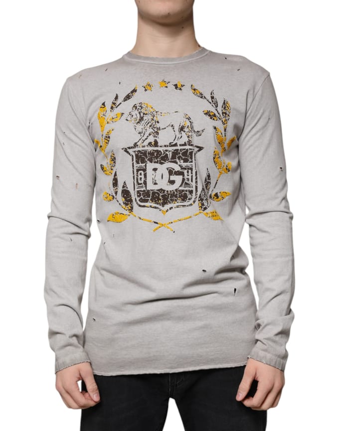 Versleten Leeuwenschild Langemouwen T-shirt