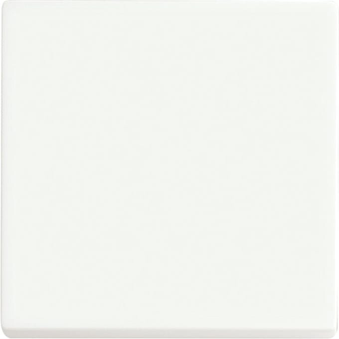 ABB Toekomstige Lineaire Slimme Schakelaar Bedieningspaneel Matt Wit - 2CKA006730A0149