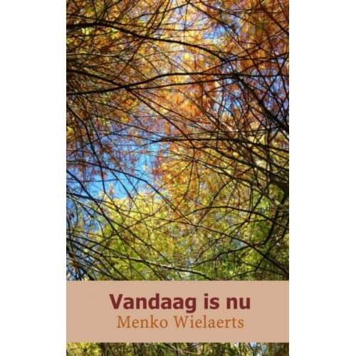 Vandaag Is Nu - Menko Wielaerts