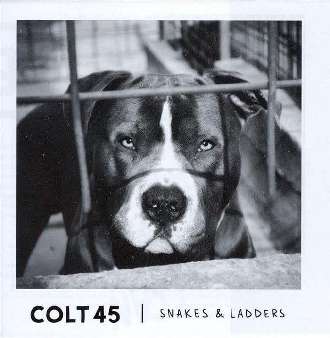 Snakes & Ladders - Cd
