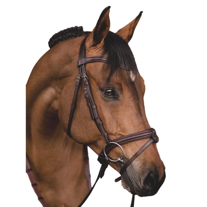 Bridon Paardrijden Muserolle Combiné met Filetsingel Equiline