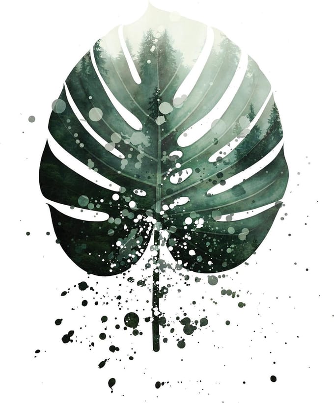 Vliesbehang Monstera XL - Tropical Groot Blad - 184 x 254 cm – groen