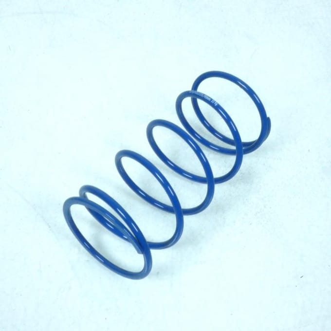 Ressort d embrayage Polini pour Scooter Benelli 50 491 Neuf
