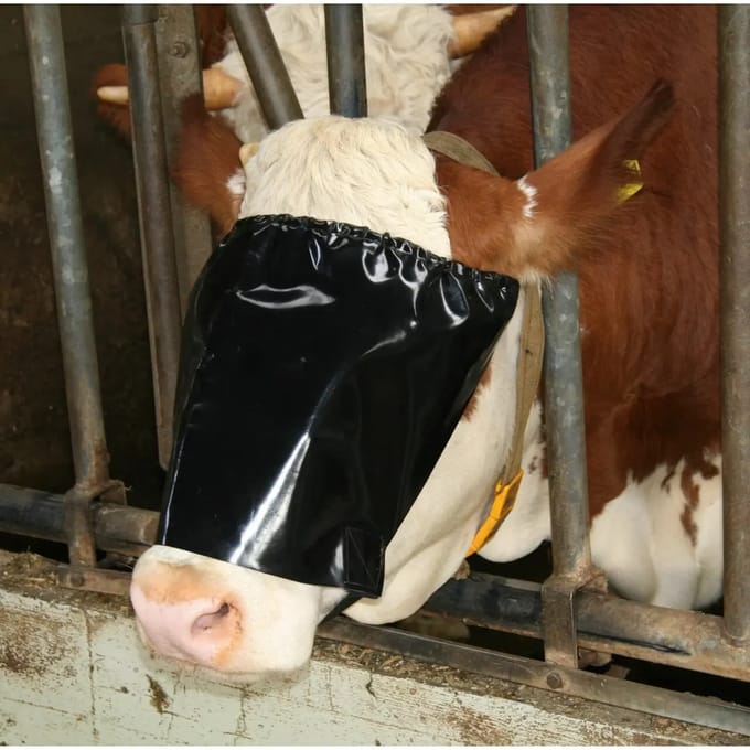 Oogje met elastieken en spanner Kerbl