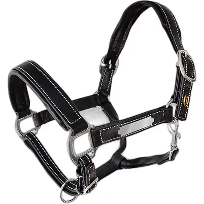 Leren halster voor paarden Lexhis