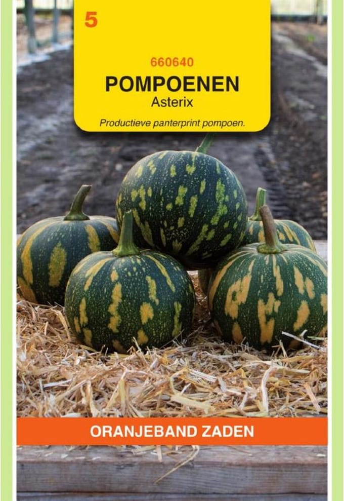 Oranjeband Zaden - Pompoen Asterix (Panterprint)