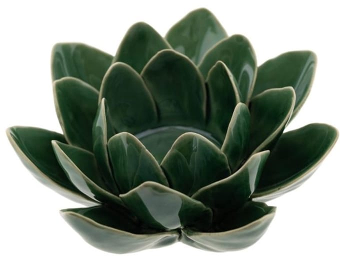 Groen Lotus groot
