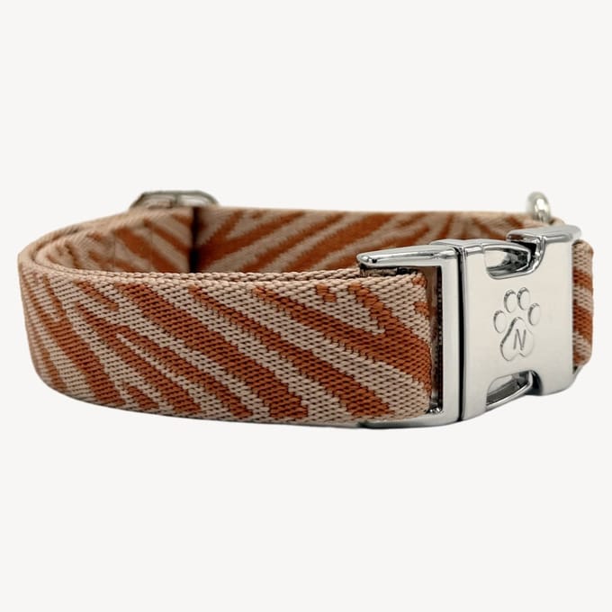 Zebra - Halsband Hond - L- 42 / 68 cm
