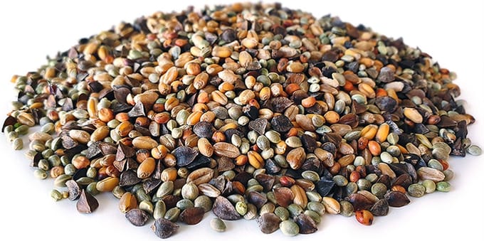 Golden Partikel Mix 20KG - Karpervissen - Partikels - Karper Aas - Karper Vissen - Karper Voer - Karper