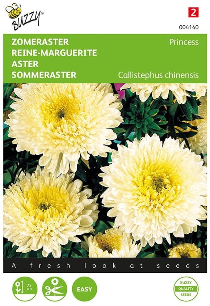 Buzzy Zaden - Zomeraster Princess Yellow (Callistephus chinensis)