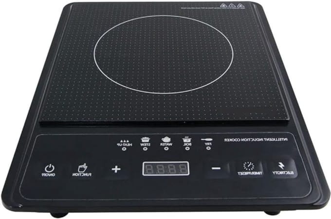 Inductiekookplaat - Vrijstaand - Elektrisch - Draagbaar - 2000 Watt - Vaderdag Cadeau