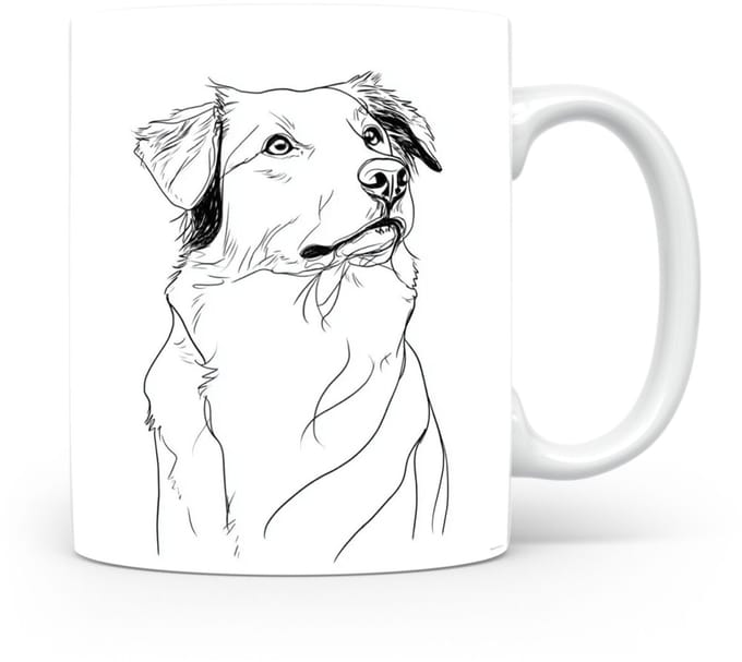 Beker Nova Scotia Duck Tolling Retriever