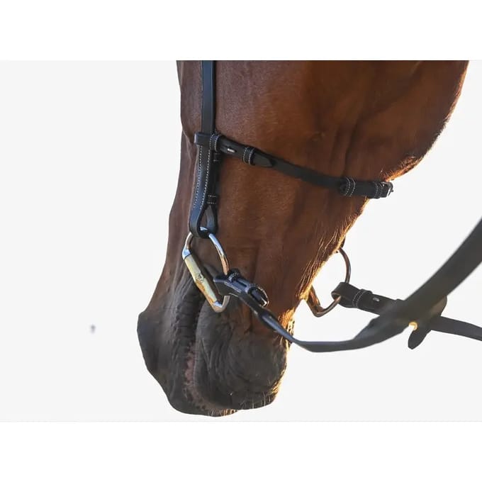 Anatomische paardenruiters biedingen Jump'In Liberty