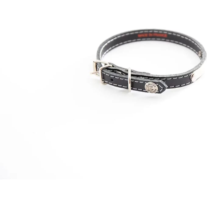 Dogen halsband met stiksels en naamplaatje Martin Sellier