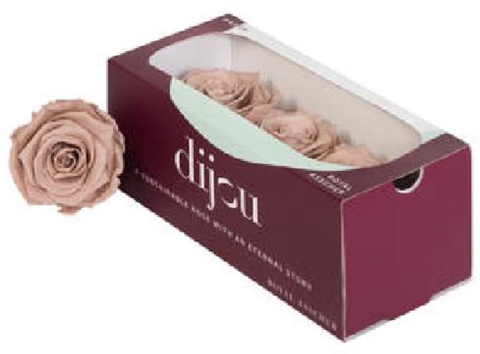 3x Dc pres.rozen latte