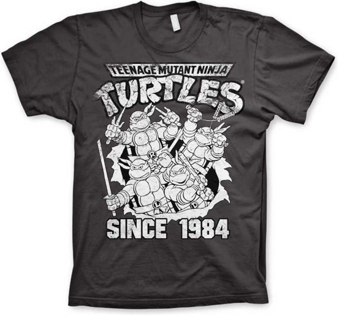Teenage Mutant Ninja Turtles Heren Tshirt -M- Distressed Since 1984 Grijs