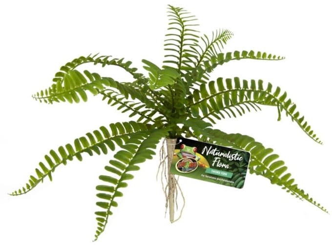 Zoo Med Terrariumplant - Varen - Sword Fern