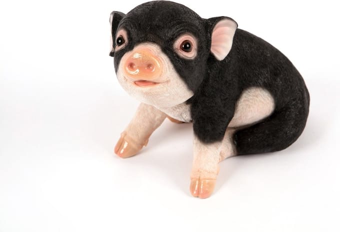 Zittend Iberisch Biggetje - Hamac - Tuinbeeld