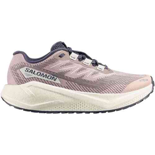 Hardloopschoenen Salomon Aero Blaze 3 GRVL