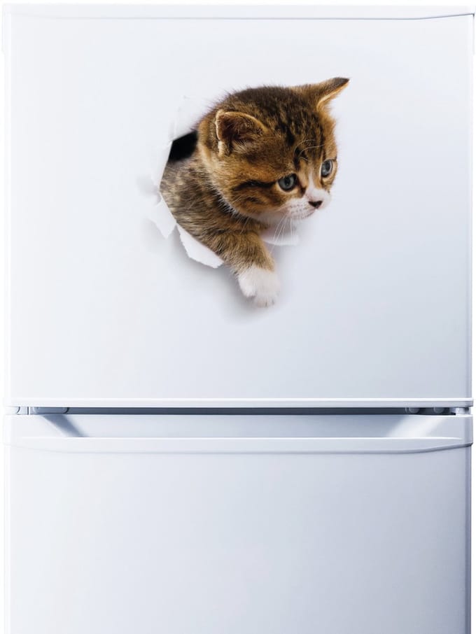 Sticker: Kat die in haar schuilplaats zit te mijmeren, 105 x 105 cm