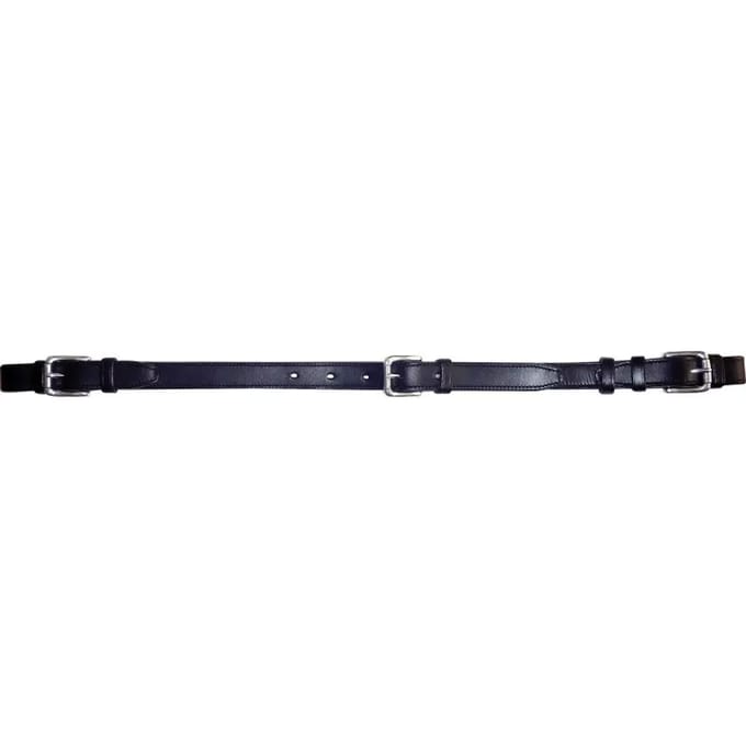 Horseball ophaalband Eric Thomas
